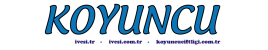 KOYUNCU ÇİFTLİĞİ - DAMIZLIK İVESİ CİNSİ KOYUN YETİŞTİRİCİLİĞİ - 0541 7101385 KOYUNCU ÇİFTLİĞİ - DAMIZLIK İVESİ CİNSİ KOYUN YETİŞTİRİCİLİĞİ - 0541 7101385