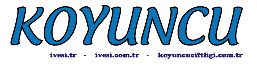 KOYUNCU ÇİFTLİĞİ - DAMIZLIK İVESİ CİNSİ KOYUN YETİŞTİRİCİLİĞİ - 0541 7101385